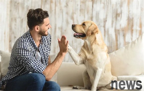 Guide to anti-dog bite: What to do if you are suddenly attacked by a vicious dog?